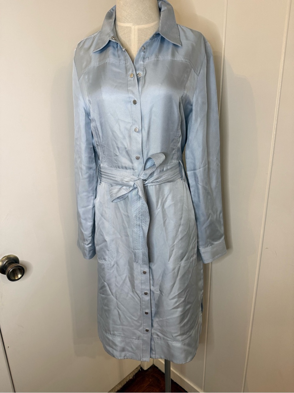 Carlisle Light Blue Long Sleeve Button-Front Shirt Dress w/Tie Waist 100% Silk 8